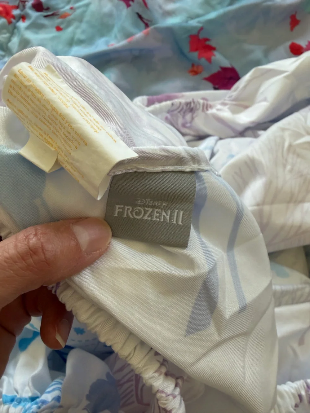 Disney Frozen 2 